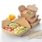 OEM Disposable Box Packaging For Food Custom Print Box Biodegradable